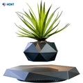 LEVITA Garden Noir - Floating Geometric Plant Pot, Black