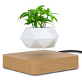LEVITA Garden - Floating Geometric Plant Pot, White