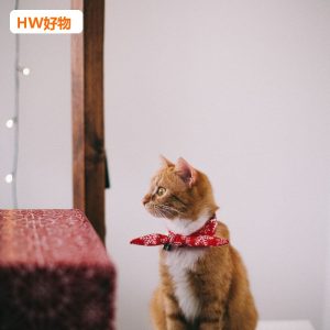 貓砂除臭器 自動感應
